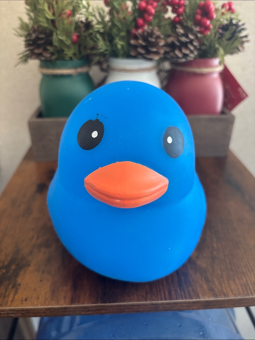 Laffy Quacks Squishy